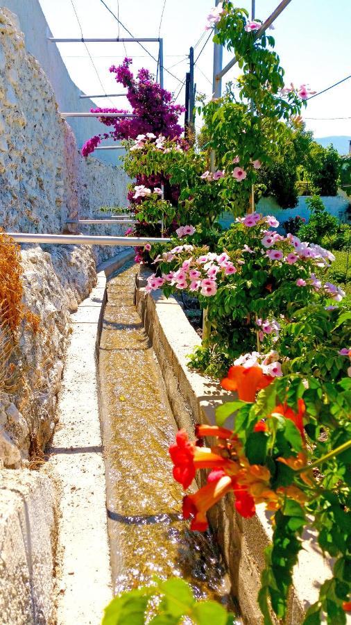 Villa Adelaida Orgiva Exterior foto